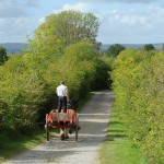 Horse and Cart travelling through Muckross Traditional Farms