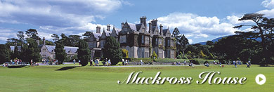 Muckross House Corporate Events