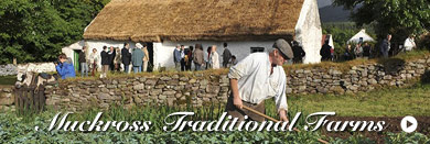 Muckross Traditional Farms Corporate Events